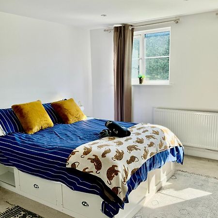 Family Home In Seaside Town Hastings Luaran gambar